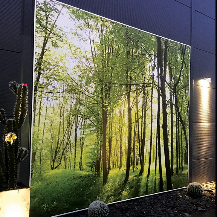 Toile tendue d'une phoro de paysage